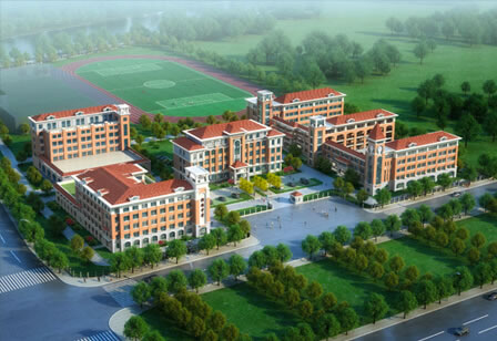 測試的案例信息，測試的案例信息